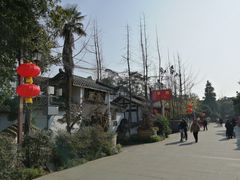 -郫都区农科村景区