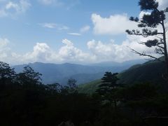 -牛背梁国家森林公园