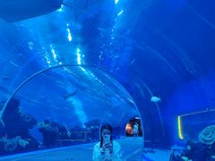 -成都浩海立方海洋公园