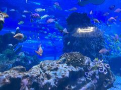 -海合安武汉极地海洋公园