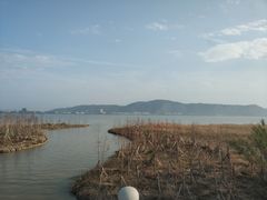 -漩门湾国家湿地公园