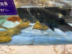 -旺顺阁海鲜广场(亚运村店)
