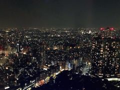 -东京都厅舍