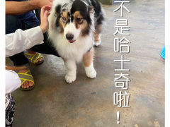 -TrueLove @ Neverland (Husky Cafe)