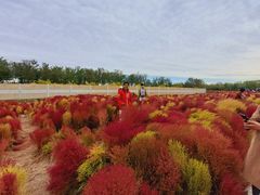 -天津东丽湖风景区