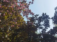 -宝岩生态观光园