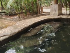 -龙达温泉生态城