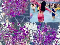 -广州融创水世界