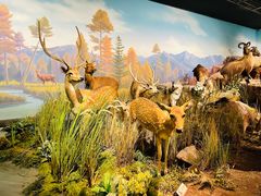 -陕西自然博物馆