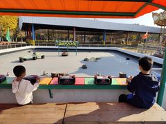 -上海海湾国家森林公园