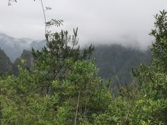 -刘伯温故里景区百丈漈