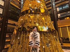 -行者书屋大堂吧 ·下午茶(南京圣和府邸酒店)