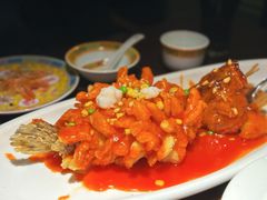 松鼠桂鱼-人和馆·上海菜(肇嘉浜路店)