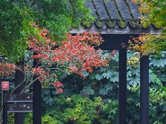 -惠山国家森林公园