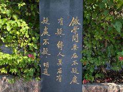 -东莞观音山旅游风景区