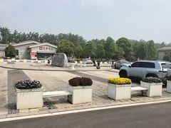 -大丰知青农场