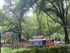 -WeLope紫金山探险公园