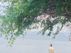 -孤山岛