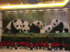 大堂-成都驻京办餐厅(蜀都宾馆店)