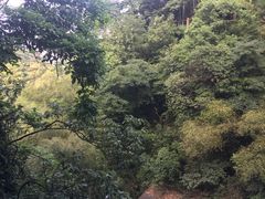 -莫干山风景区