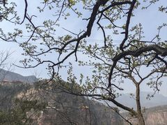 -苍岩山风景名胜区
