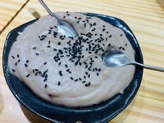 -海丝金凤(金鱼店)