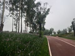 -白鹭湾湿地公园