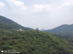 -清溪大王山森林公园