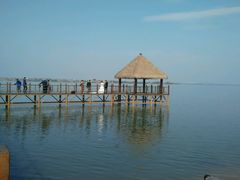 -瑶湖郊野森林公园