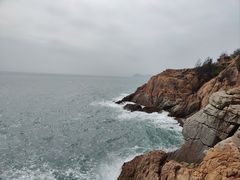 -广东惠东海龟国家级自然保护区