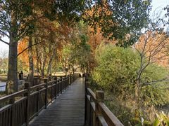 -东湖落雁景区