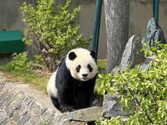 -天津市动物园