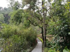-火炉山森林公园