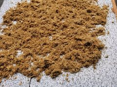 -沙湾姜埋奶(兴新包店)