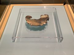 -安阳博物馆