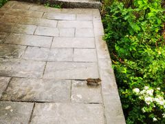 -牛背梁国家森林公园
