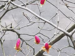 -证大大拇指广场(芳甸路店)