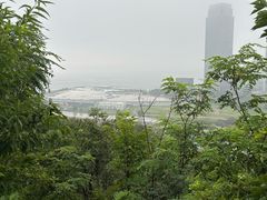 -西尖山公园