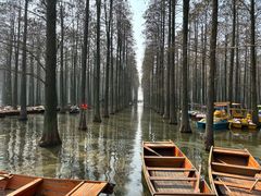 -渌洋湖湿地公园