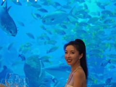 -亚特兰蒂斯•OSSIANO奥西亚诺海底餐厅