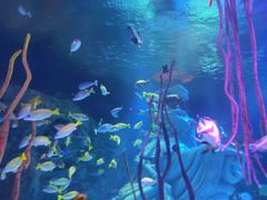 -沈阳海洋探索中心