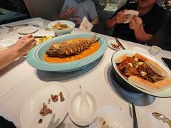 -阿五黄河大鲤鱼(建业路店)