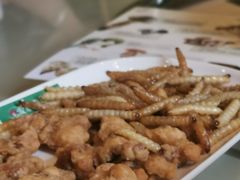 -爱膳菌锅锅(阳南店)