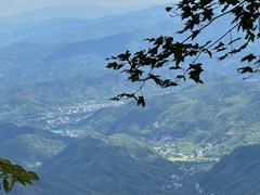 -天目山大树王景区