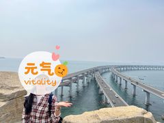 -星海湾跨海大桥