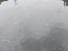 -忠山公园