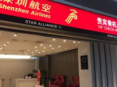 -桃仙机场头等舱休息室