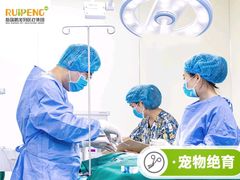 -艾贝尔宠物医院·狂犬免疫点(江山金象城店)