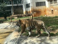-昆明动物园