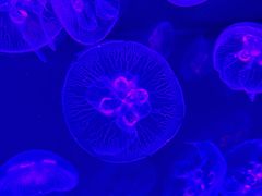 -沈阳海洋探索中心